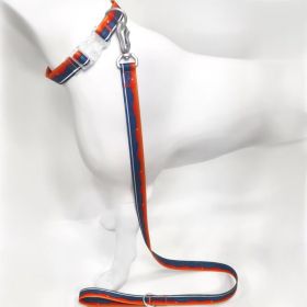Blue-Orange Gradient Dog Collar & Leash Set, Waterproof Wear-Resistant TPU, Transparent Quick-Release Buckle, for Small & Medium Dogs (size: S)